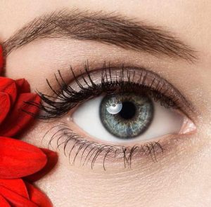 چطور چشم های زیبا داشته باشیم و چه خوراکی هایی برای زیبا شدن چشم هستند؟ چطور چشم های زیبا داشته باشیم و چه خوراکی هایی برای زیبا شدن چشم هستند؟