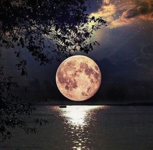 شعر شب؛ اشعار زیبای نو در مورد شب و زیبایی های آن