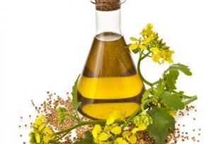 برای زیبایی پوست و مو این روغن های طبیعی را استفاده کنید برای زیبایی پوست و مو این روغن های طبیعی را استفاده کنید