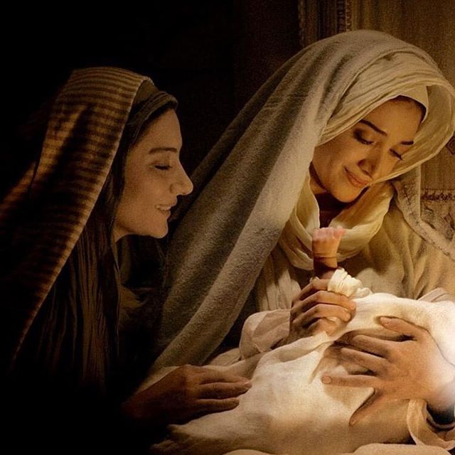 پانتهآ مهدینیا پانتهآ مهدینیا