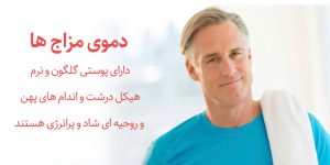 ویژگی های افراد گرم مزاج + نحوه شناسایی طبع گرم و تر و یا طبع گرم و خشک ویژگی های افراد گرم مزاج + نحوه شناسایی طبع گرم و تر و یا طبع گرم و خشک