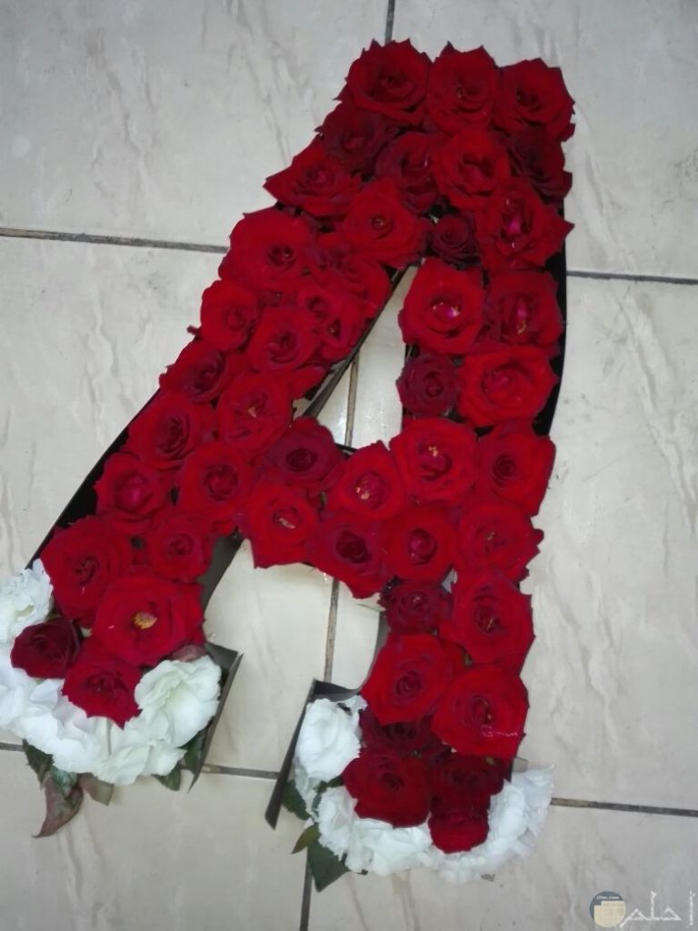 عکس پروفایل حرف A 