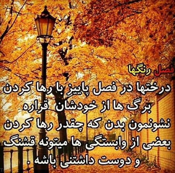 عکس پروفایل خزان + نوشته های زیبا و احساسی در مورد فصل پاییز و خزان