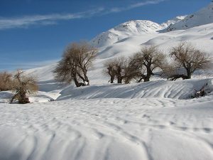 عکس طبیعت زمستانی + حقایق جالب و خواندنی در مورد فصل برف و سرما