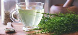 خواص گیاه دم اسب + تمام فواید این گیاه دارویی برای پوست مو و سلامت خواص گیاه دم اسب + تمام فواید این گیاه دارویی برای پوست مو و سلامت