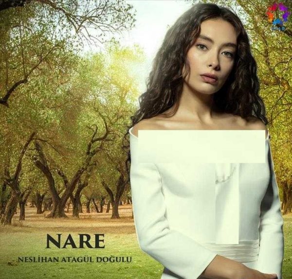 قسمت آخر سریال دختر سفیر