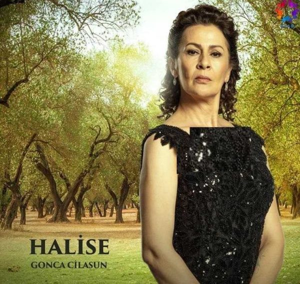 قسمت آخر سریال دختر سفیر