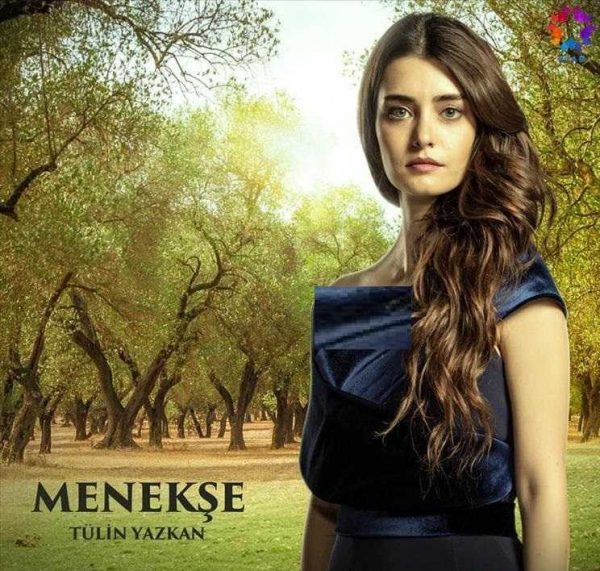 قسمت آخر سریال دختر سفیر