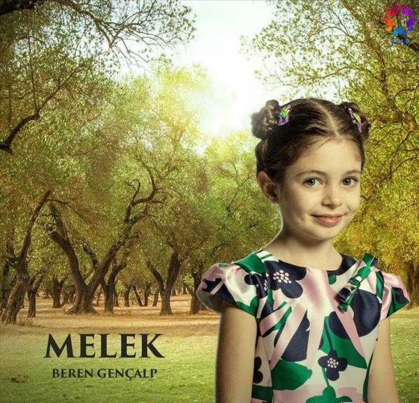 قسمت آخر سریال دختر سفیر