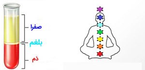 بلغم چیست + مشخصات بلغمی ها از دید طب سنتی و غلبه بر آن