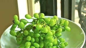 خواص غوره و آبغوره + نکاتی در مورد مصرف غوره که باید بدانید خواص غوره و آبغوره + نکاتی در مورد مصرف غوره که باید بدانید