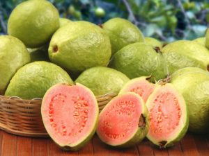 خواص گواوا + فواید خوردن این میوه محلی خوشمزه برای سلامت خواص گواوا + فواید خوردن این میوه محلی خوشمزه برای سلامت