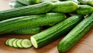 خیار برای افراد مبتلا به دیابت مفید است و چه خواصی دارد؟