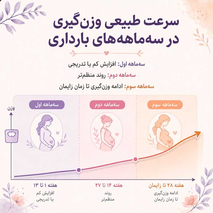 افزایش وزن در بارداری؛ محدوده پیشنهادی براساس BMI؛ نشانههای وزنگیری کمتر یا بیشتر از انتظار سرعت طبیعی وزنگیری در سهماهههای بارداری