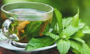 خواص چای ریحان برای سلامت + طرز تهیه دمنوش ریحان خوشمزه خواص چای ریحان برای سلامت + طرز تهیه دمنوش ریحان خوشمزه