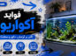 فواید آکواریوم