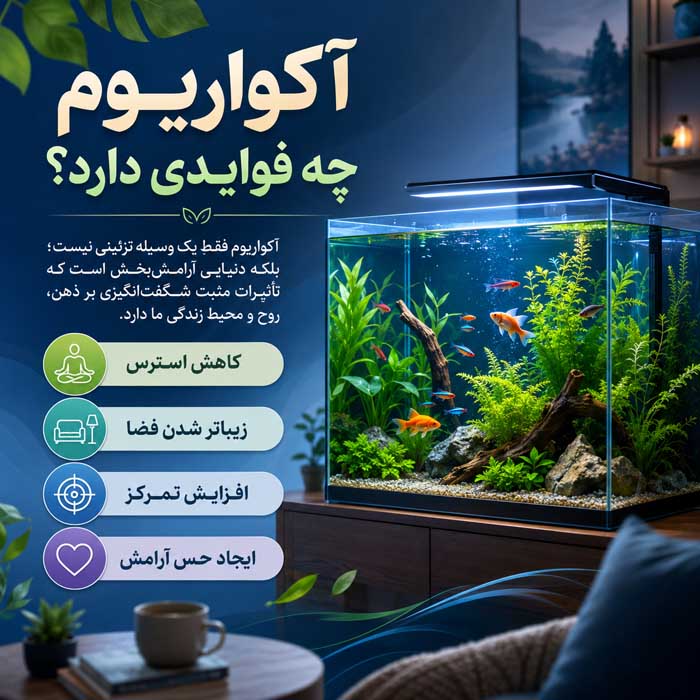 فواید آکواریوم در خانه و محل کار؛ نقش احتمالی در آرامش و تمرکز؛ مسئولیتهای نگهداری صحیح آکواریوم چه فوایدی دارد؟