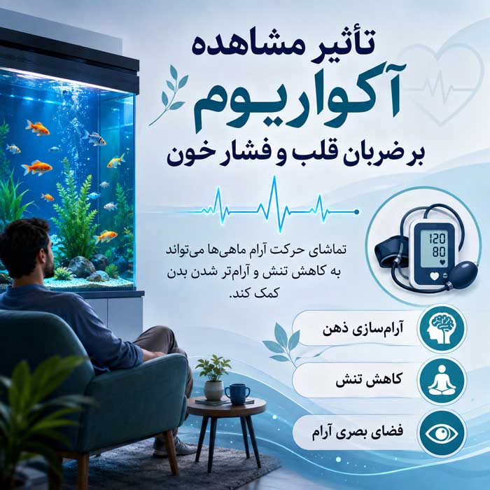 فواید آکواریوم در خانه و محل کار؛ نقش احتمالی در آرامش و تمرکز؛ مسئولیتهای نگهداری صحیح تأثیر مشاهده آکواریوم بر ضربان قلب و فشار خون