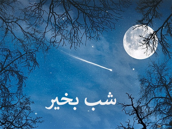 پیامک شب بخیر جدیدترین اس ام اس های شب بخیر گفتن جملات خواندنی