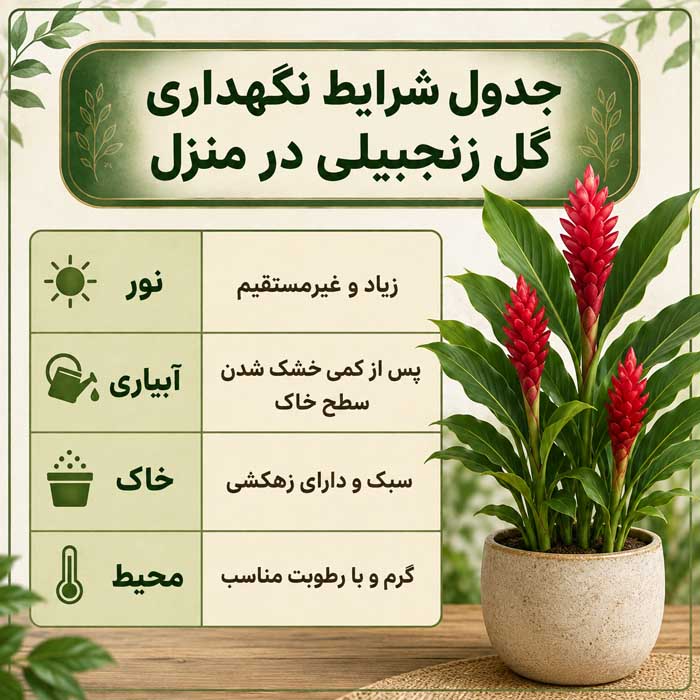 پرورش گل زنجبیلی زیبا؛ نور، آبیاری و خاک مناسب؛ روش تکثیر و افزایش گلدهی جدول شرایط نگهداری گل زنجبیلی در منزل