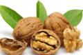 خواص برگ گردو + تمام فواید دارویی و درمانی آن خواص برگ گردو + تمام فواید دارویی و درمانی آن