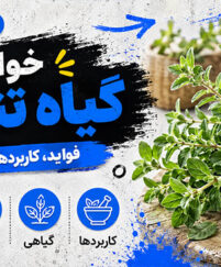 خواص گیاه تنگرس؛ معرفی Prunus lycioides و کاربردهای بومی؛ شواهد علمی و هشدارهای مصرف خواص گیاه تنگرس