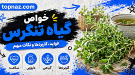 خواص گیاه تنگرس؛ معرفی Prunus lycioides و کاربردهای بومی؛ شواهد علمی و هشدارهای مصرف خواص گیاه تنگرس
