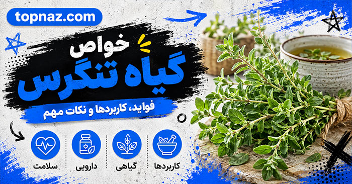 خواص گیاه تنگرس؛ معرفی Prunus lycioides و کاربردهای بومی؛ شواهد علمی و هشدارهای مصرف خواص گیاه تنگرس؛ معرفی Prunus lycioides و کاربردهای بومی؛ شواهد علمی و هشدارهای مصرف