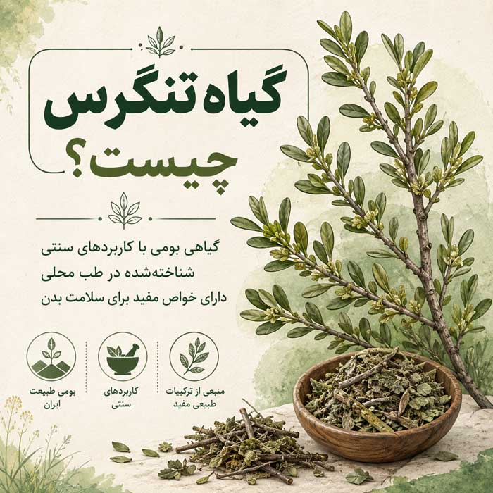 خواص گیاه تنگرس؛ معرفی Prunus lycioides و کاربردهای بومی؛ شواهد علمی و هشدارهای مصرف گیاه تنگرس چیست؟