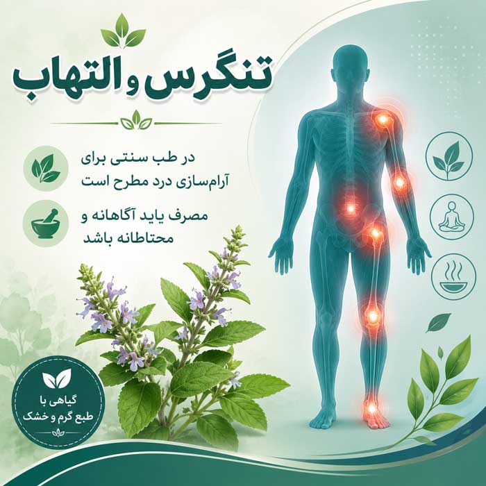خواص گیاه تنگرس؛ معرفی Prunus lycioides و کاربردهای بومی؛ شواهد علمی و هشدارهای مصرف تنگرس و التهاب و درد