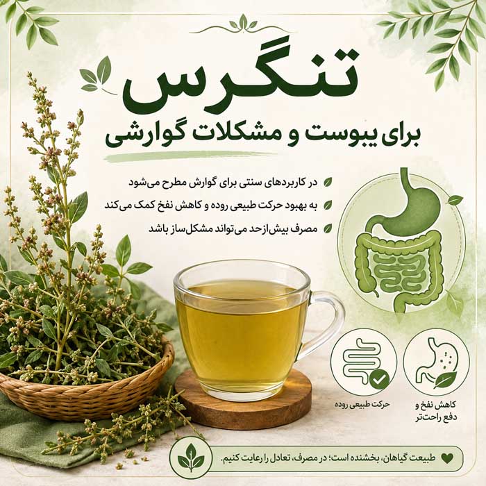 خواص گیاه تنگرس؛ معرفی Prunus lycioides و کاربردهای بومی؛ شواهد علمی و هشدارهای مصرف تنگرس برای یبوست و مشکلات گوارشی