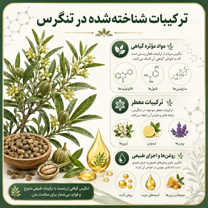 خواص گیاه تنگرس؛ معرفی Prunus lycioides و کاربردهای بومی؛ شواهد علمی و هشدارهای مصرف ترکیبات شناختهشده در تنگرس