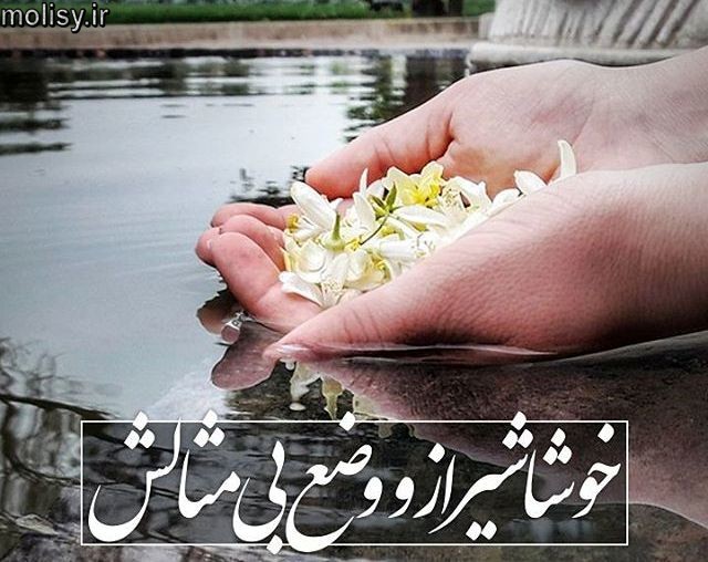 اشعار زیبا برای شیراز 