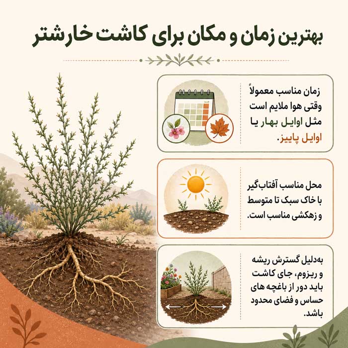 بهترین زمان و مکان برای کاشت خارشتر