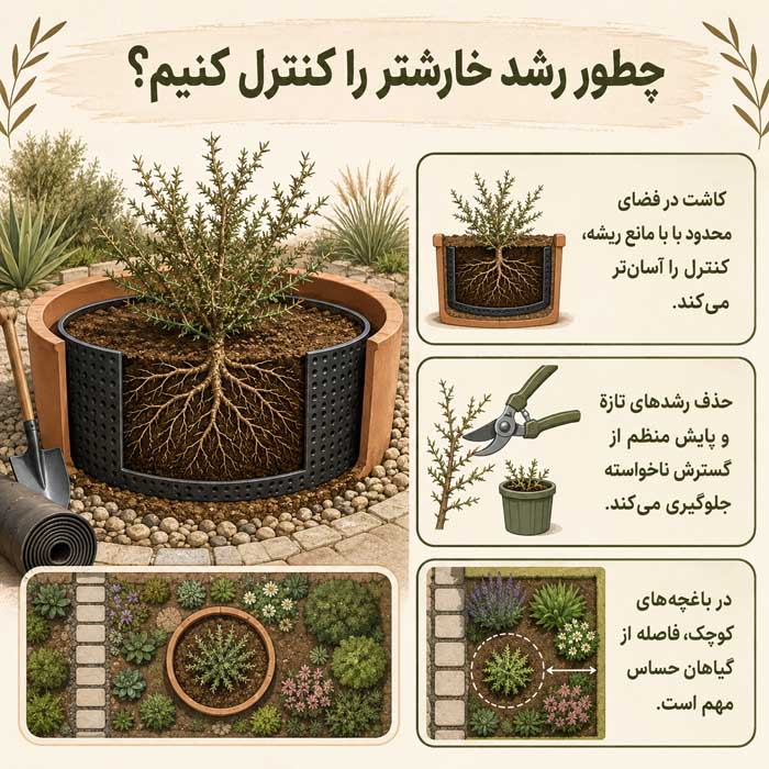 چطور رشد خارشتر را کنترل کنیم؟