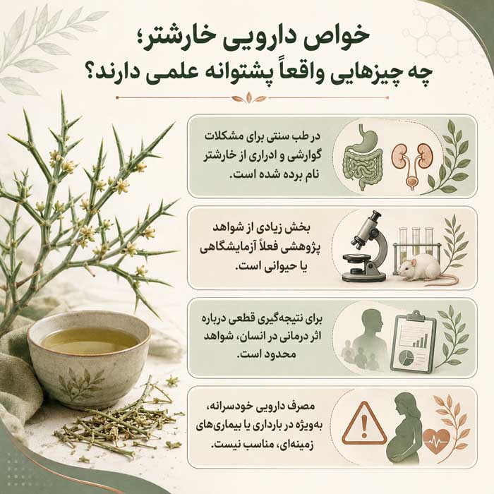 خواص دارویی خارشتر؛ چه چیزهایی واقعاً پشتوانه علمی دارند؟