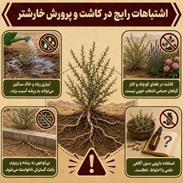 اشتباهات رایج در کاشت و پرورش خارشتر