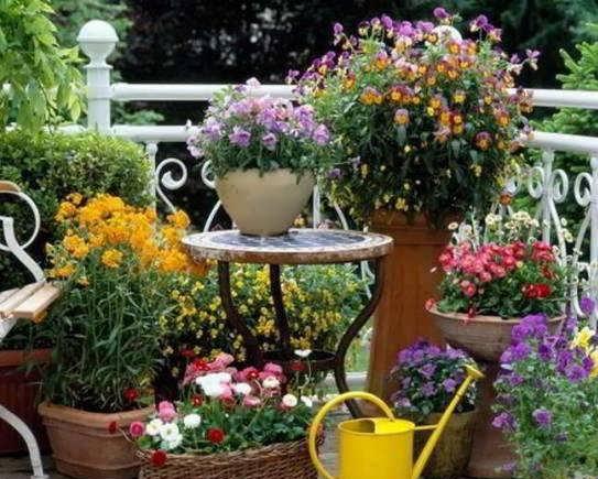 طرح باغ کوچک و زیبا برای طراحی فضای باغ ویژه مکان های کوچک