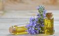 خواص روغن رزماری | تمام فواید این روغن برای پوست و مو طرز تهیه آن خواص روغن رزماری | تمام فواید این روغن برای پوست و مو طرز تهیه آن
