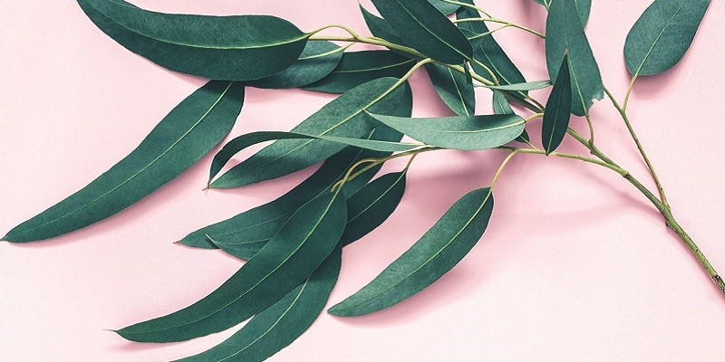 بهترین روش‌های از بین بردن بوی بد و نامطبوع در خانه