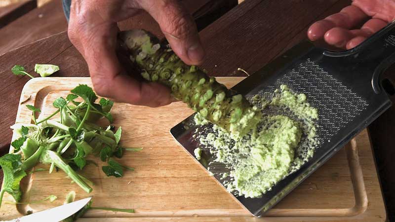 خواص واسابی 