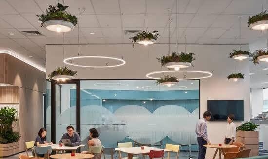 دکوراسیون پارامتریک