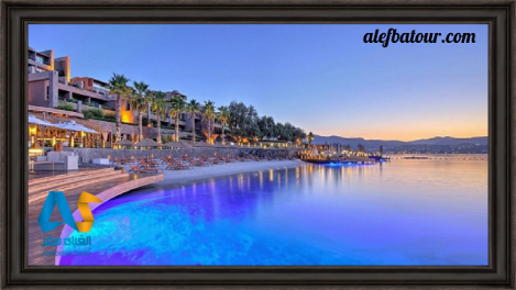 مقایسه کوش آداسی با بدروم، کدامیک بهتر است؟