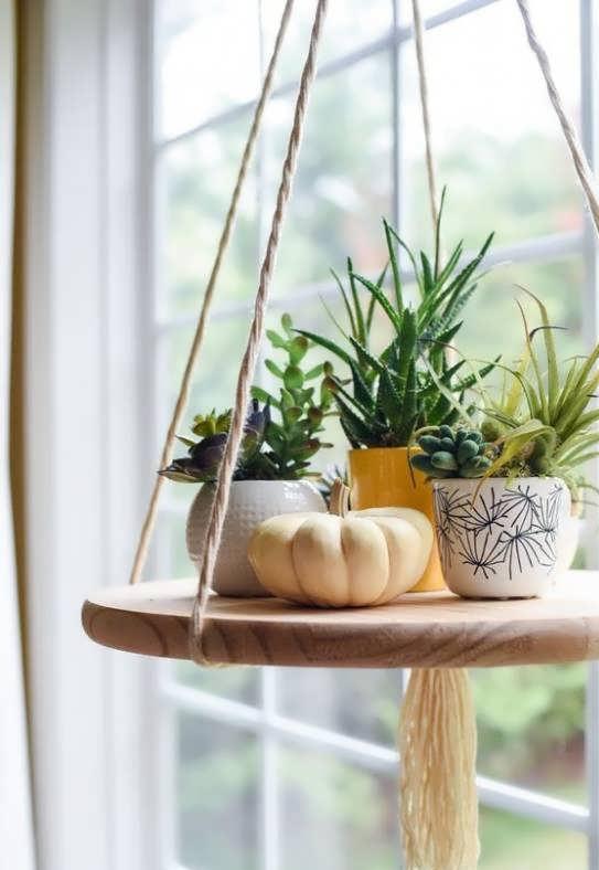 گیاهان سبز و زیبا در دکوراسیون منزل