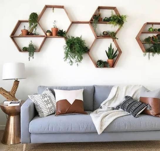 گیاهان سبز و زیبا در دکوراسیون منزل