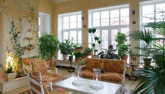 گیاهان سبز و زیبا در دکوراسیون منزل
