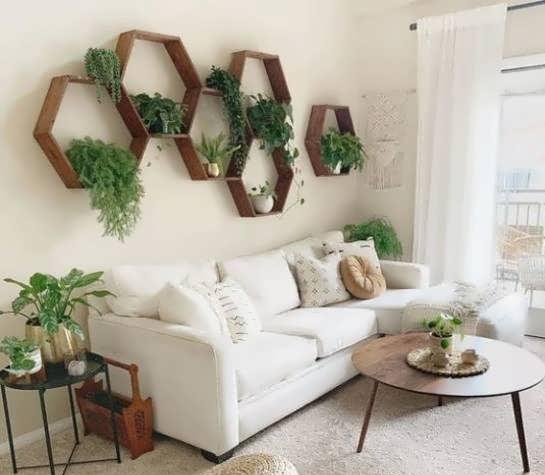 گیاهان سبز و زیبا در دکوراسیون منزل