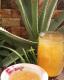 طرز تهیه مربای آلوئه ورا خوشمزه و به آسانی در منزل طرز تهیه مربای آلوئه ورا خوشمزه و به آسانی در منزل