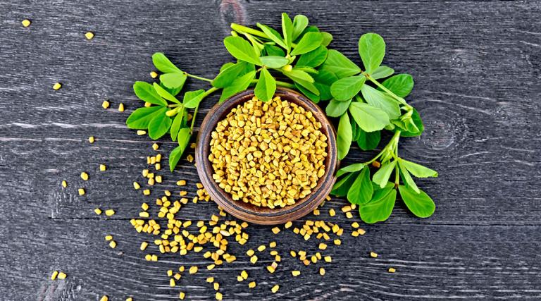خواص و مزایای عرق شنبلیله برا سلامت بدن خواص و مزایای عرق شنبلیله برا سلامت بدن