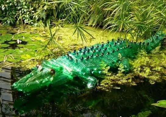 خلاقیت با بطری های بدون استفاده با روش های جذاب و جالب